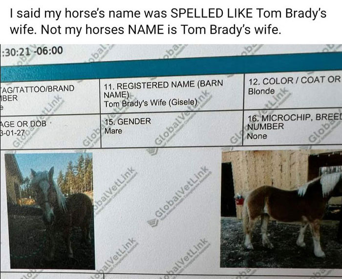 38 People Who Couldn't Have Picked a Worse Name for Their Kid