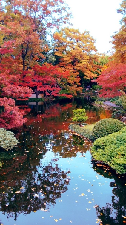 japanese botanical gardens fort worth