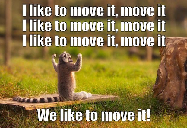We like to move it!