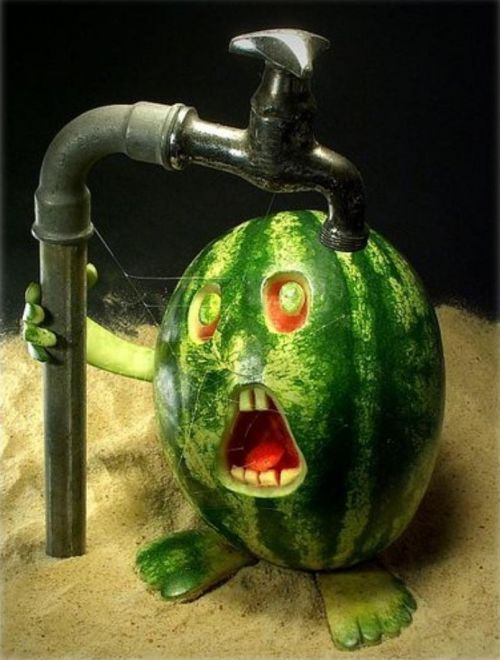 Water the melon