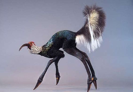 hybridtaxidermy