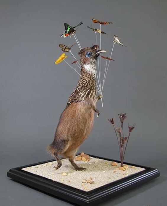 hybridtaxidermy