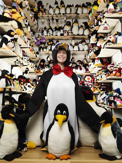 Largest collection of penguins 11,062 