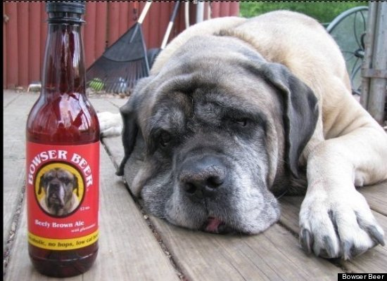 Bowser Beer was recognized as the world's first beer for dogs by the World Record Academy. The canine brew is made without hops, carbonation and alcohol.