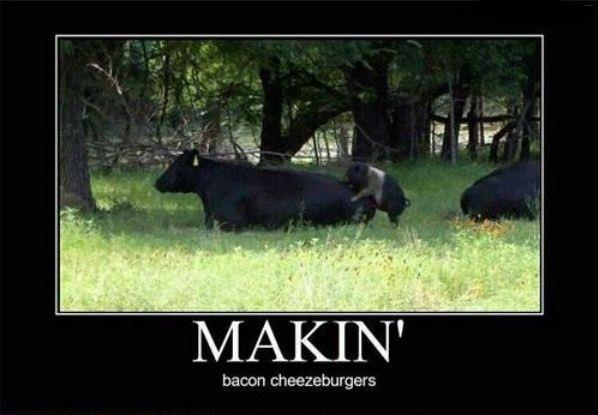 MMMM Bacon!