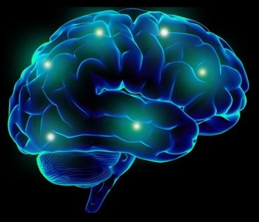 The brain uses 20 percent of the body's oxygen when at rest.