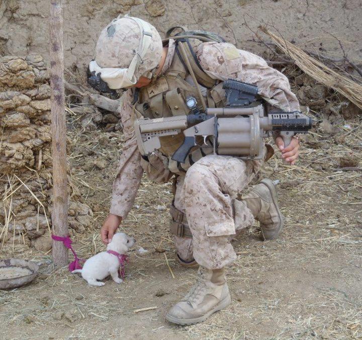 soldier with puppy
