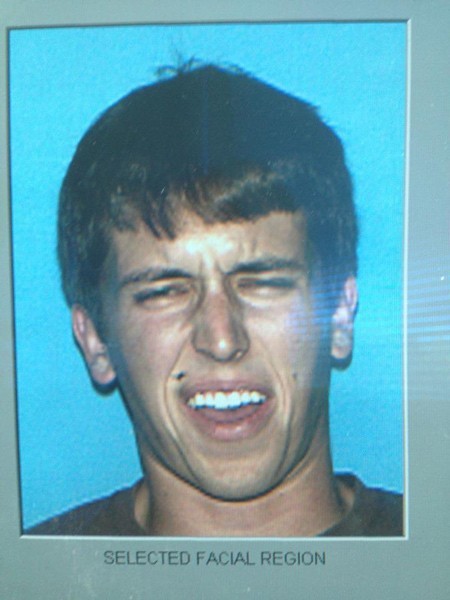Perfect Timing Fly On The Face Driver License Picture