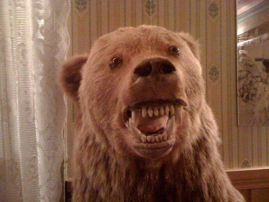 When Taxidermy Goes Wrong