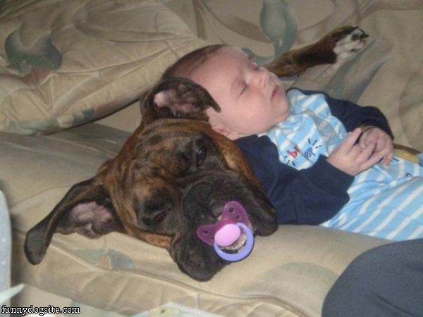cute dog dogs with babies funny - funnydogsite.com