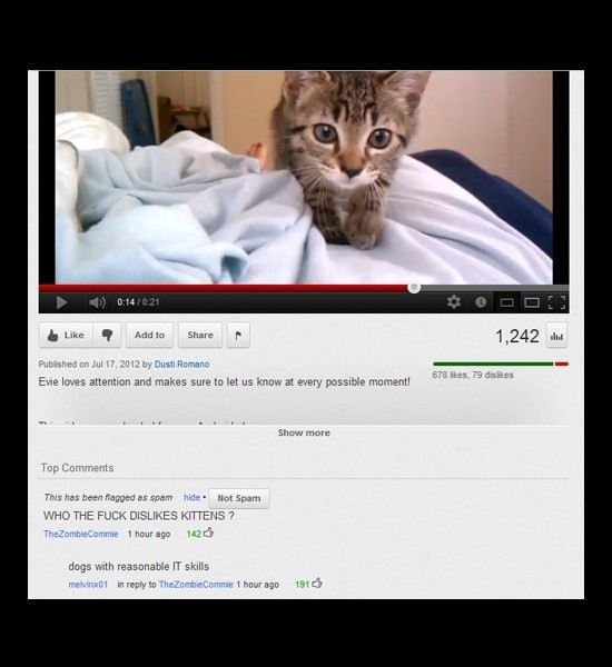 youtube comment cat jumping at camera gif - 4 Add to 1,242 Published on by Dusti Romano Evie loves attention and makes sure to let us know at every possible moment! 678 , 79 dis Show more Top This has been flagged as spam hide. Not Spam Who The Fuck Dis K