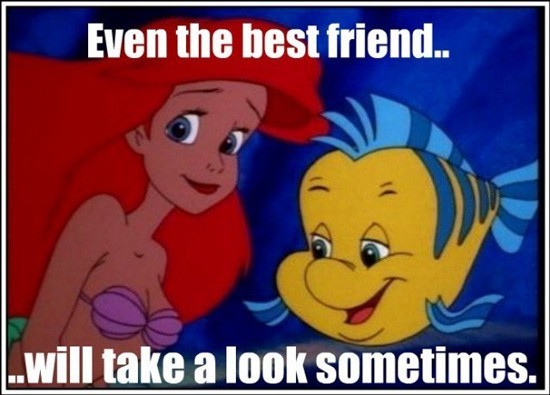 little mermaid funny memes - Even the best friend.. ..will take a look sometimes.