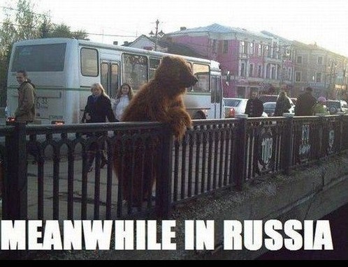 meanwhile in russia bears - Meanwhile In Russia