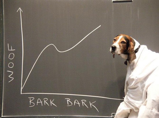 dog scientist - Woof Bark Bark
