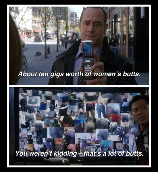 svu stabler meme - About ten gigs worth of women's butts. You weren't kidding that's a lot of butts.
