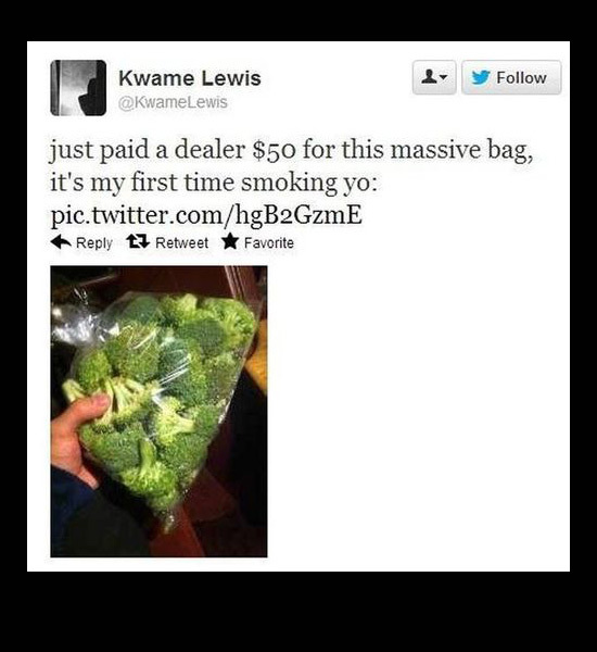 weed scam meme - y Kwame Lewis just paid a dealer $50 for this massive bag, it's my first time smoking yo pic.twitter.comhgB2GzmE t3 Retweet Favorite