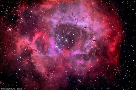 Majestic red: The Rosette Nebula is so massive it would take 130 years travelling at the speed of light to go from one side to the other
