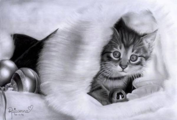 Amazing Drawings Just Using A Pencil