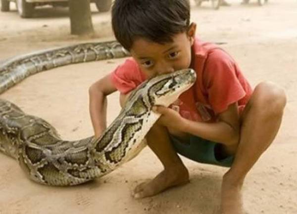 Kids With Dangerous Animals