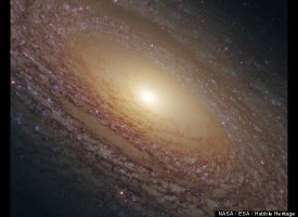A majestic disk of stars and dust lanes in the spiral galaxy NGC 2841