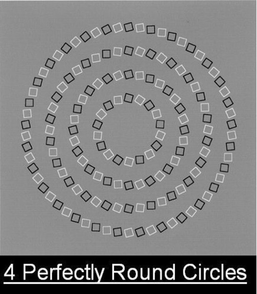 Four Perfectly Round CirclesThese are four perfectly round circles, arranged from largest to smallest, but the odd angles of the boxes that make up each circles make them appear to intersect