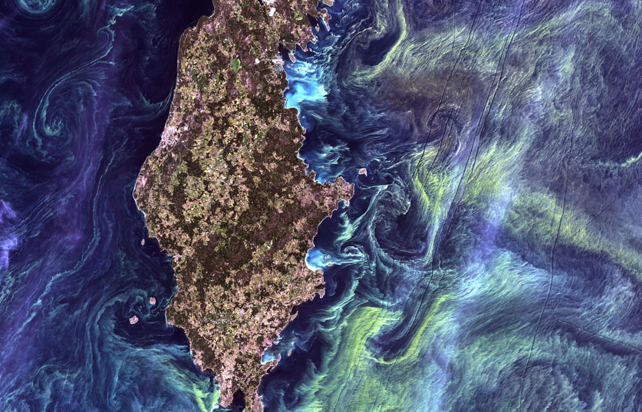 Neon green phytoplankton swirls in the waters off Gotland, a Swedish island in the Baltic Sea.