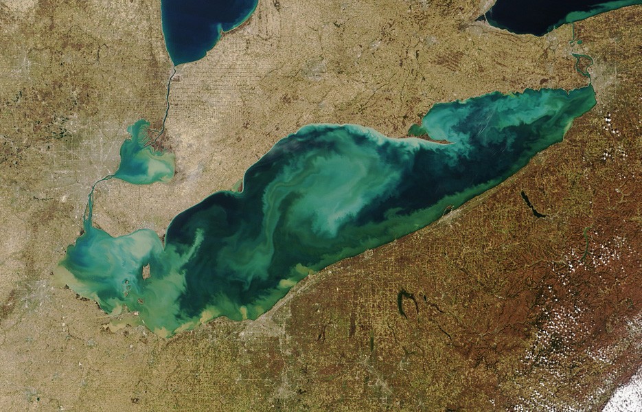 Lake Erie on the U.S.-Canada border was filled with swirling sediment and algae in March 2012, when NASA's Terra satellite captured this image.