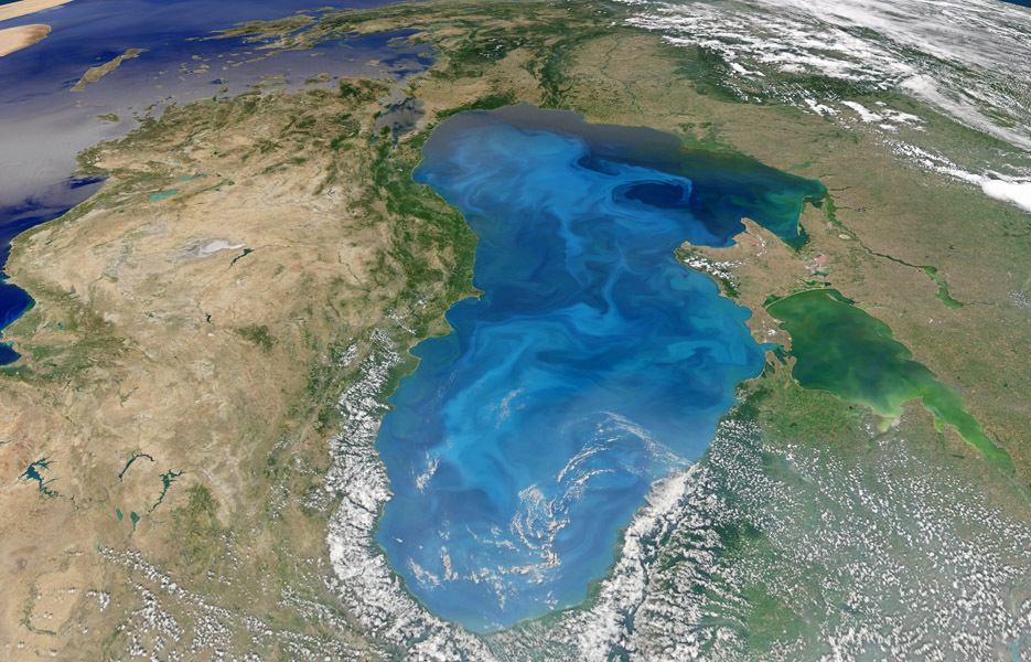 Blooming microscopic phytoplankton create the swirling blue pattern on the surface of the Black Sea in this image from July 2012.