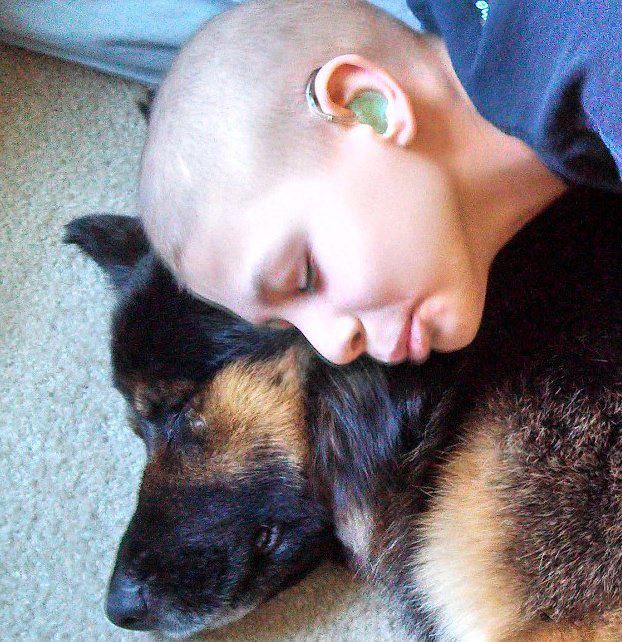 Neglected dog gets taken in by family and is a loyal companion to a 10 year old boy with cancer.