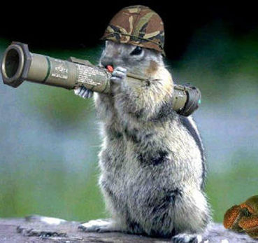 funny pictures of animals with weapons