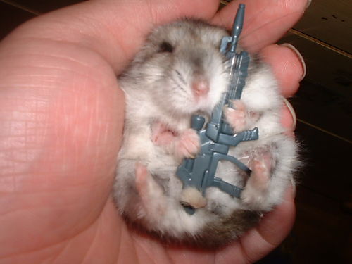 Animals With Weapons