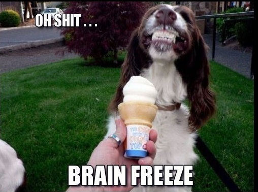 dogs with brain freeze - Oh Shit.. Brain Freeze