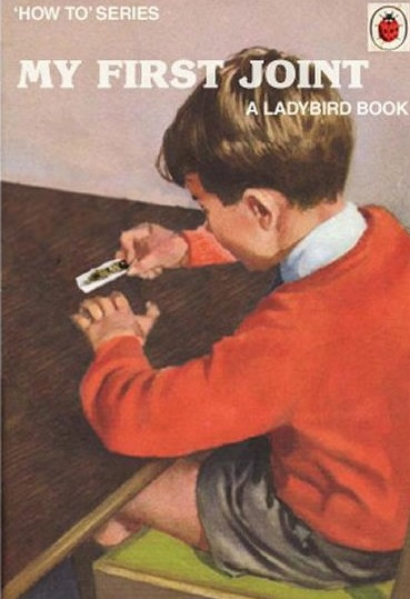 ladybird books funny - "How To' Series My First Joint A Ladybird Book