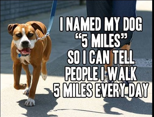 funny dogs names - Inamed My Dog 5 Miles" So I Can Tell People I Walk 5 Miles Everyday