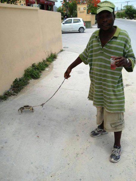 man walking pet crab