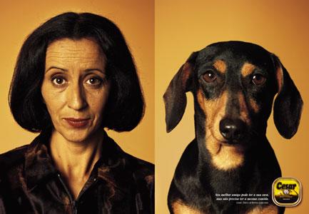 Dogs Resembling People