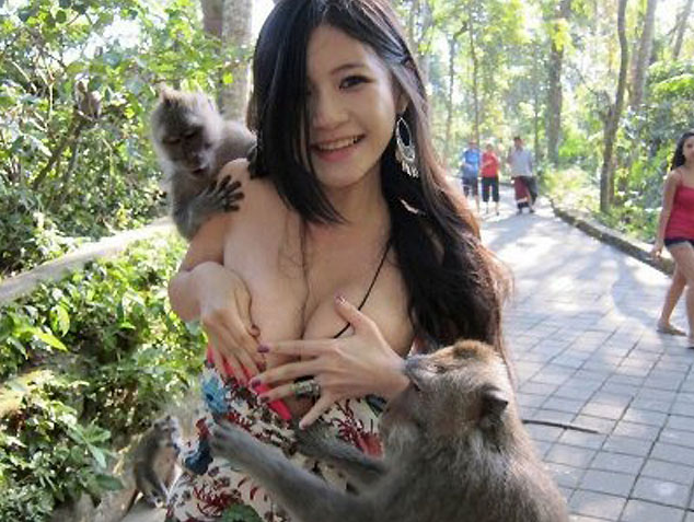 Babes And Monkeys
