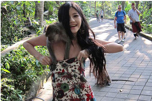 Babes And Monkeys