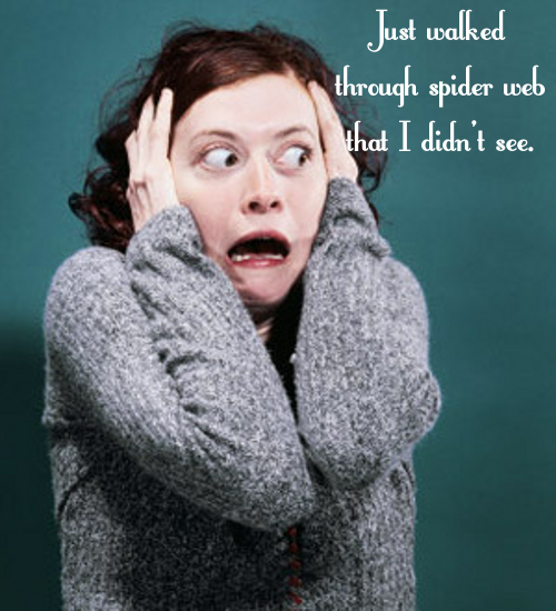 I don't care how tough you are; you walk through a spider web that you didn't see, and you are going to freak out.