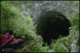 cave of swallows - 4GIFS.com