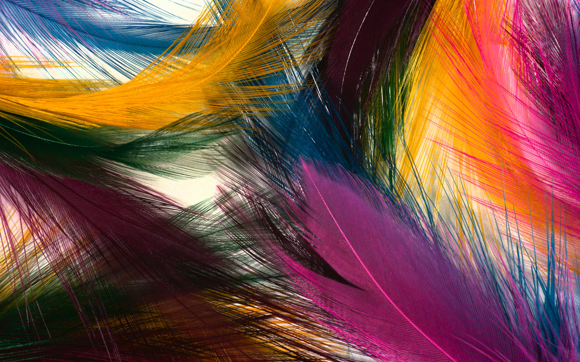 cool art feather background hd