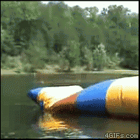 A round of gifs