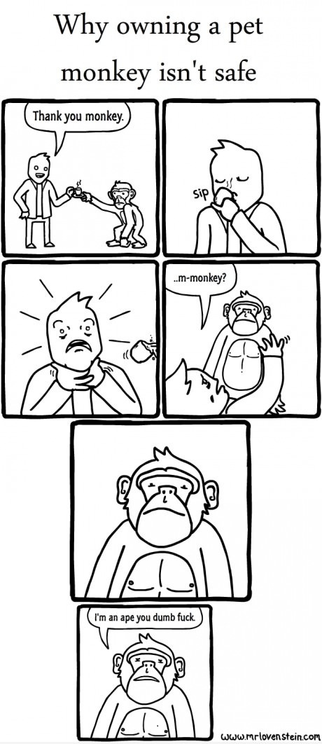 Dafuq you lookin at?