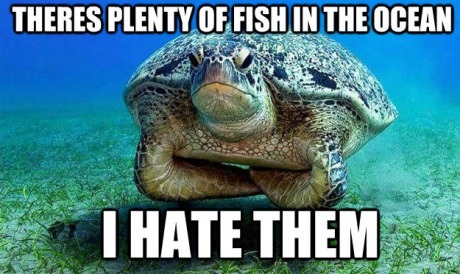 Dafuq you lookin at?