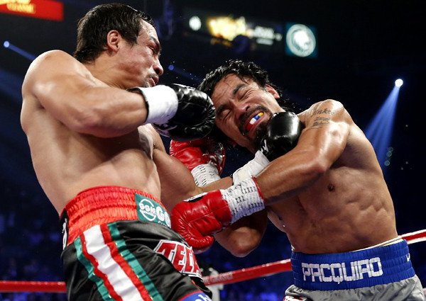 Picture Perfect Boxing Knockouts