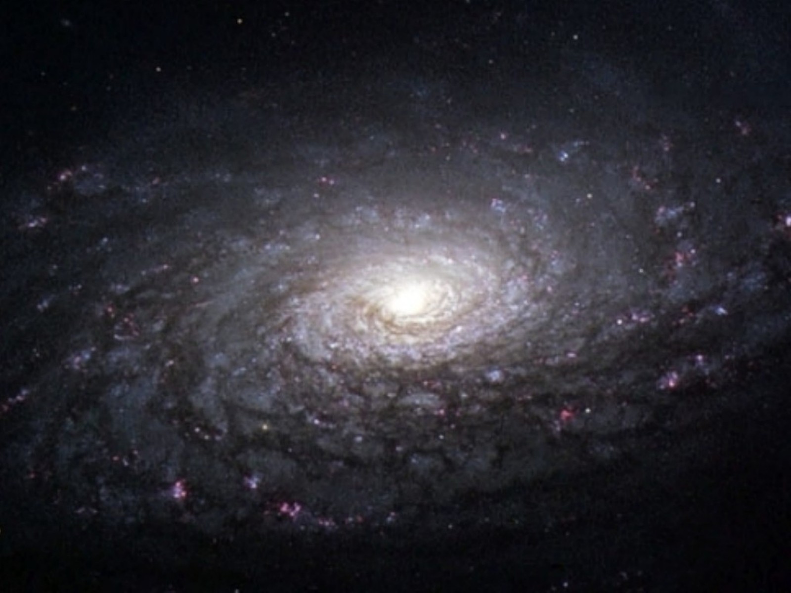 Гигантская звездная система. M 63 Галактика. Галактика подсолнух м63. Спиральная Галактика подсолнух м63. Галактика NGC-5055.