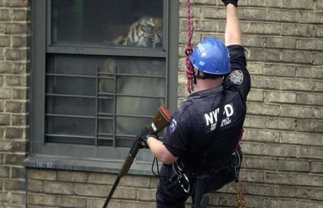 Dafuq you lookin at?