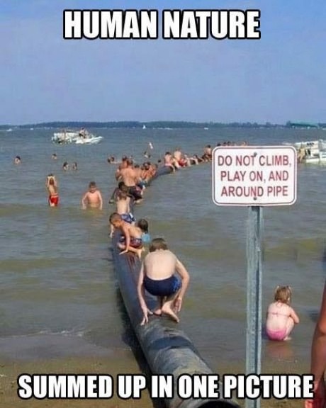 Dafuq you lookin at?