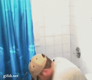 9 Of The Most UTTERLY BRILLIANT Prank Gifs!!