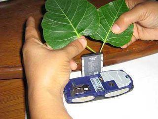 Charging Your Phone WIth Leaves